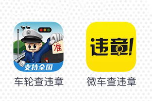 车牌号查询车主(车牌号查询车主姓名信息怎么查)