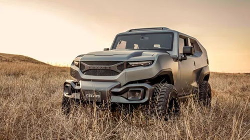 tank越野车300(tank越野车300油箱多大)