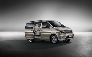 东风风行菱智9座图片(东风风行菱智7座价格) 东风风行菱智9座图片(东风风行菱智7座价格)