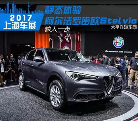 阿尔法罗密欧suv(阿尔法罗密欧suv参数配置)