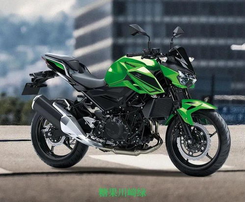 川崎全部车型报价(川崎全部车型报价多少)