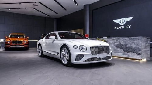 宾利欧陆gt2021款价格(宾利欧陆新款价格)