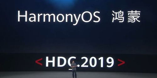 欧拉官网(华为欧拉官网)