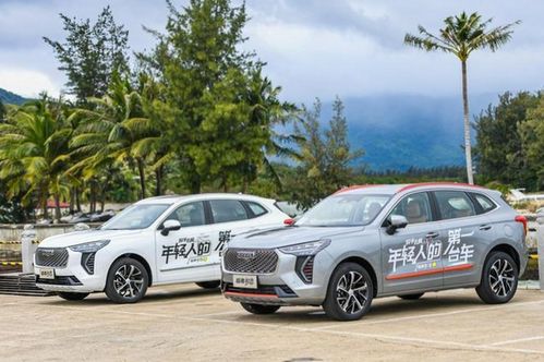 国内汽车品牌排行榜(国内汽车品牌排行榜十大名牌)