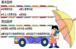 车辆必买的4个险(车辆必买的4个险种)