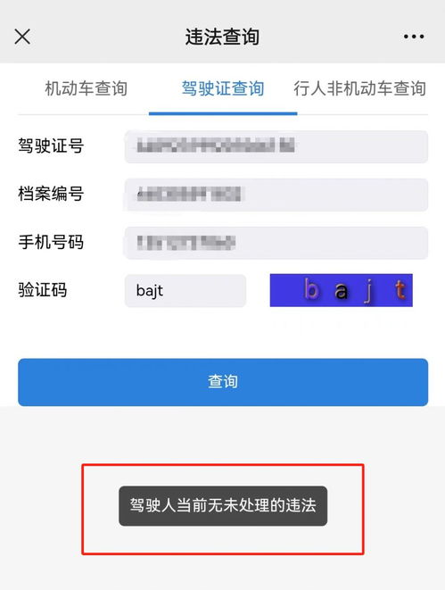 交通违章查询官网(湖南交通违章查询官网)
