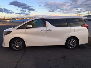 埃尔法商务车汽车图片及价格(埃尔法商务车汽车图片及价格大全) 埃尔法商务车汽车图片及价格(埃尔法商务车汽车图片及价格大全)