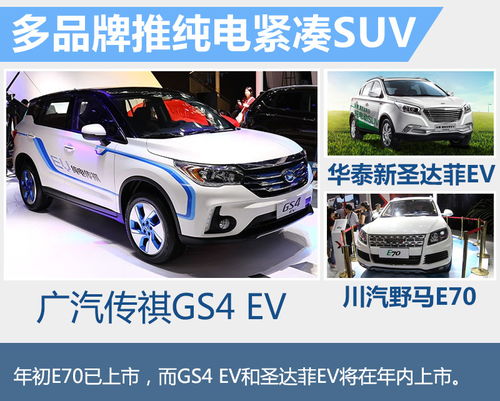 纯电动汽车价格表(广汽传祺新能源纯电动汽车价格表) 纯电动汽车价格表(广汽传祺新能源纯电动汽车价格表)