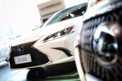 雷克萨斯e300(雷克萨斯es300h) 雷克萨斯e300(雷克萨斯es300h)