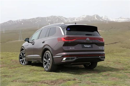 大众揽境价格及图片(大众揽境价格图片内饰)