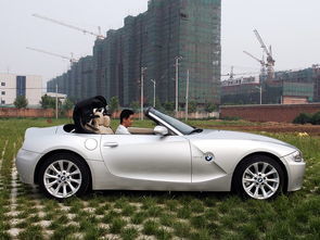 宝马z4报价敞篷跑车价格(宝马z4报价敞篷跑车2020款)