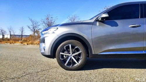 为什么买f7的人最后后悔(为什么买哈弗f7)