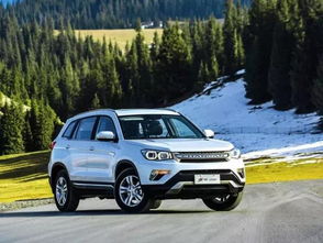 三十万左右suv排行榜(30到40万的suv前十名) 三十万左右suv排行榜(30到40万的suv前十名)