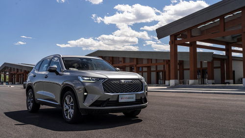 哈弗h6油耗多少真实油耗(第三代哈弗h6油耗多少真实油耗)