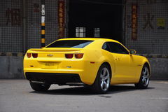 雪佛兰跑车大黄蜂(雪佛兰跑车大黄蜂简笔画)