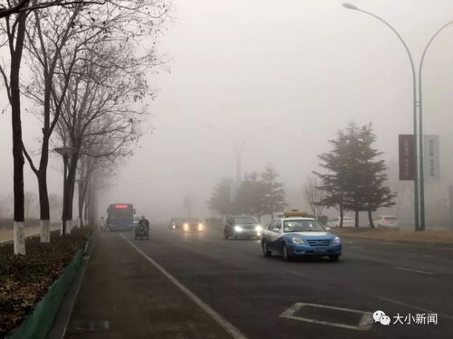 今日高速封路情况最新(今日高速封路情况最新烟台)