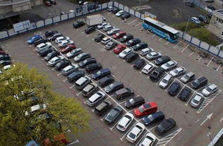 只输入车牌号查车主(只输入车牌号查车主电话免费)