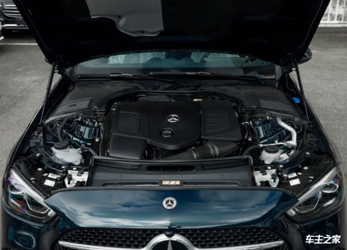 2023年新款七座车(2022 7座)