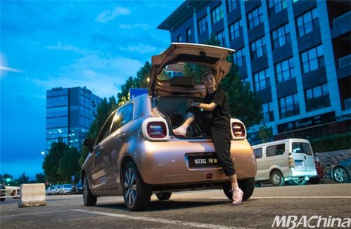 长城欧拉黑猫2022款价格(长城欧拉黑猫2020款价格)