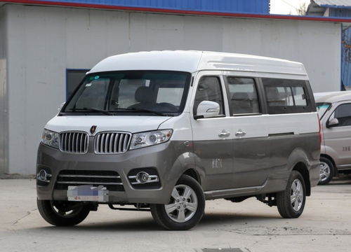 金杯新海狮(金杯新海狮x30l)