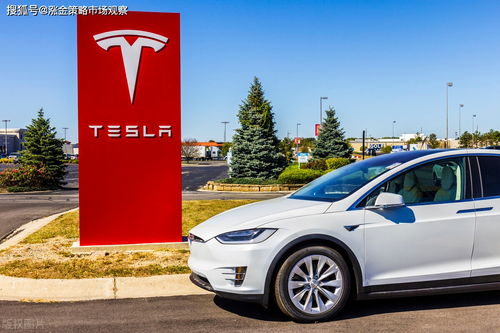 特斯拉model3降价(特斯拉model3降价15万) 特斯拉model3降价(特斯拉model3降价15万)