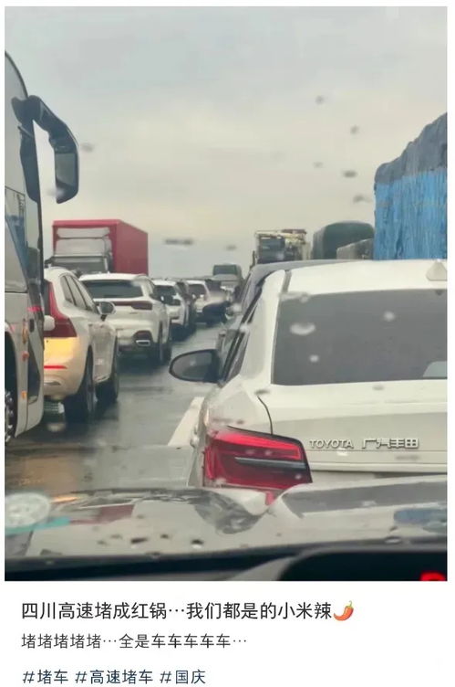 穷人买电车还是买油车(不买车的都是聪明人) 穷人买电车还是买油车(不买车的都是聪明人)