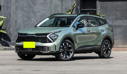 起亚狮铂拓界(起亚狮铂拓界怎么样值得买吗)