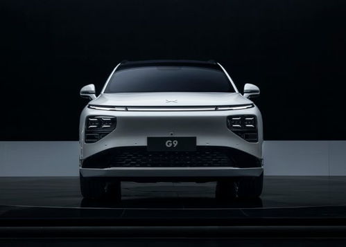 2022年最新车型(2022年新款车型)