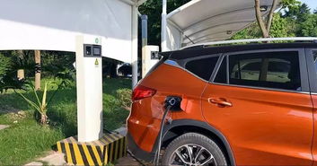 最省油的车有哪几款(买什么车最好最省油又便宜) 最省油的车有哪几款(买什么车最好最省油又便宜)