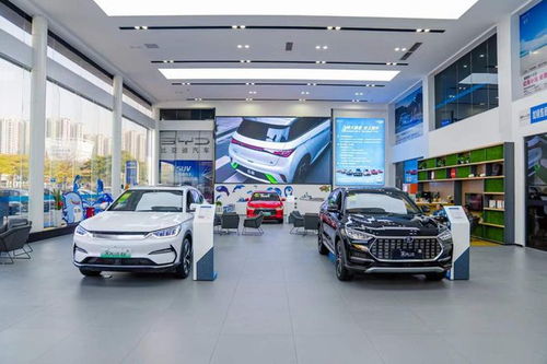 比亚迪新能源汽车销售4s店(比亚迪新能源专卖店)