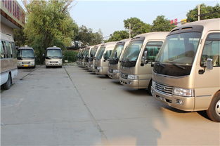 丰田考斯特15座商务车价格(丰田考斯特15座商务车价格图片) 丰田考斯特15座商务车价格(丰田考斯特15座商务车价格图片)