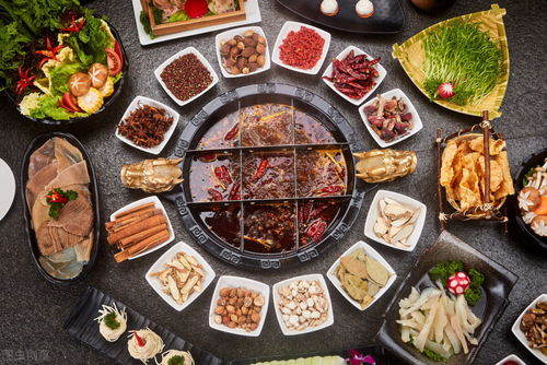 高速封不封怎么查询(哈同高速封不封怎么查询)