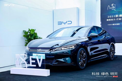 比亚迪最新上市车型(比亚迪2022年新车上市进程)