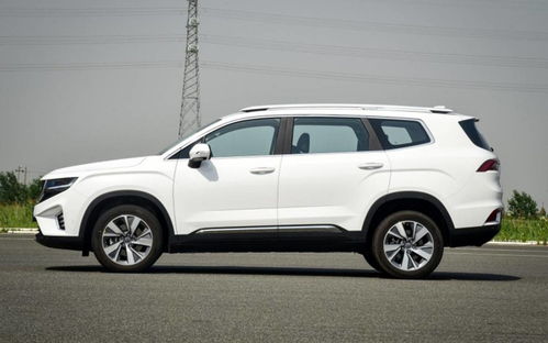 suv车型图片及价格10万(suv车型大全10万一15万图片) suv车型图片及价格10万(suv车型大全10万一15万图片)