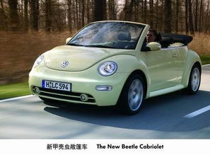 小糯米甲壳虫敞篷车(小糯米甲壳虫敞篷车什么时候上市) 小糯米甲壳虫敞篷车(小糯米甲壳虫敞篷车什么时候上市)