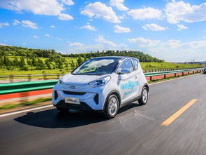 毛病最多的车十大排行(口碑最好的纯电动汽车)