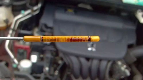 2年不换机油一点事都没(2年不换机油一点事都没有)