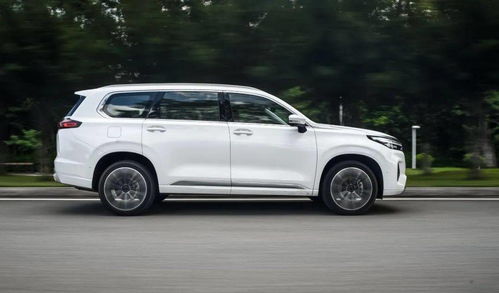 国产七人座家庭用车(7人座国产suv家用车哪款最好) 国产七人座家庭用车(7人座国产suv家用车哪款最好)