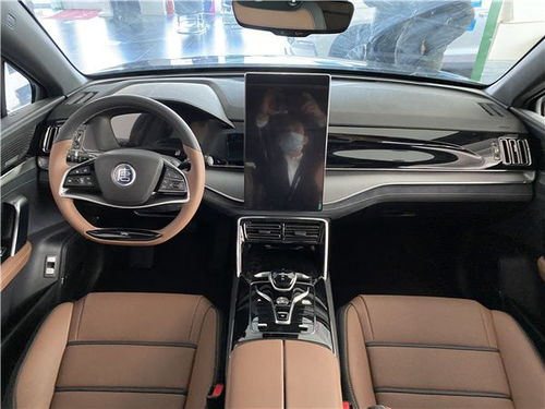 电动汽车品牌排行榜十大名牌(电动汽车品牌排行榜十大名牌有哪些) 电动汽车品牌排行榜十大名牌(电动汽车品牌排行榜十大名牌有哪些)