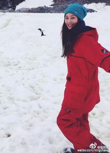 张馨予的西藏之旅，三个月的深度体验