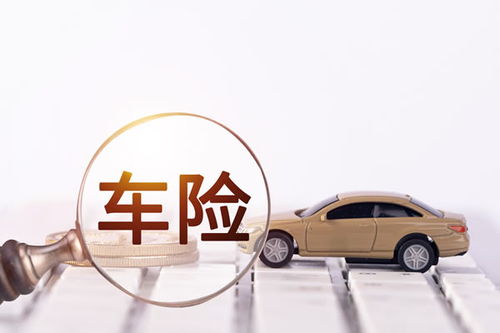 车险排名前十大公司(车险排名前十大公司大地车险)