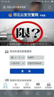 公安交管网违章查询(公安交管网违章查询手机版)