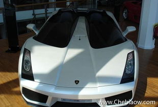 兰博基尼最贵的车(兰博基尼最贵的车图片)