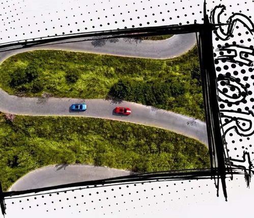 琼瑶笔下的幸福时光——五十岁的人生感悟 琼瑶笔下的幸福时光——五十岁的人生感悟