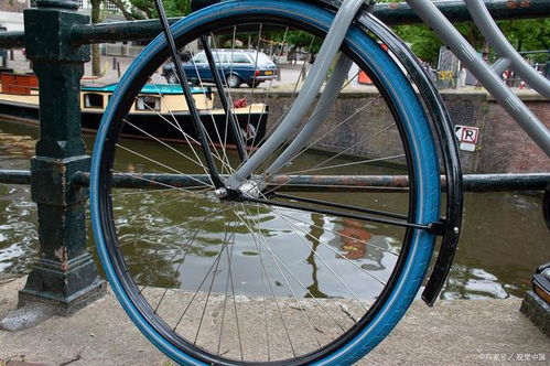 自行车品牌排行榜前十名(折叠自行车品牌排行榜前十名)