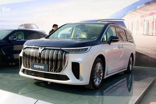 东风岚图汽车图片及价格(东风岚图油电混合汽车) 东风岚图汽车图片及价格(东风岚图油电混合汽车)