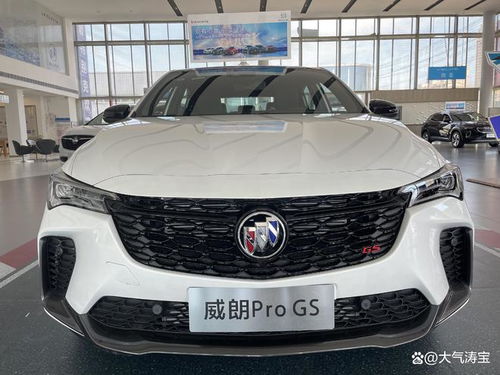 别克威朗pro(别克威朗progs疾风版)