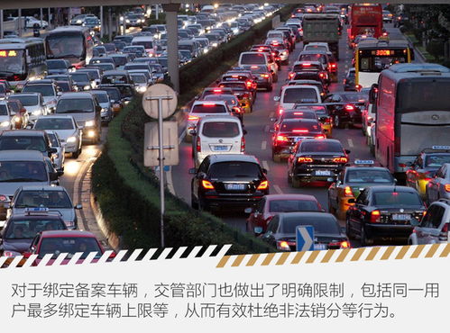 非本人车辆违章查询(非本人车辆违章查询直接输入车牌号)