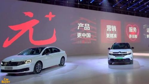 神龙汽车有限公司官网(神龙汽车制造有限公司)