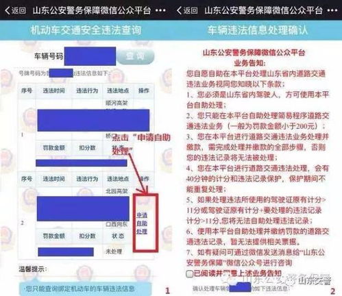 一键查车主(一键查车主姓名免费) 一键查车主(一键查车主姓名免费)